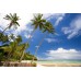 Mango Bay Resort(3sao)