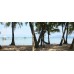Peppercorn Beach Resort(3sao)